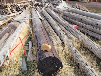 Phone poles 18--price for all