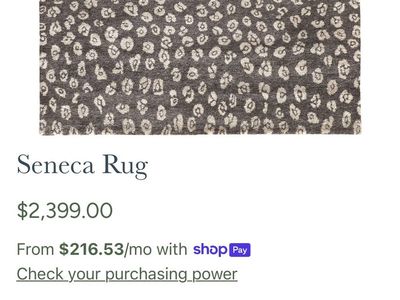 $2400 BRAND NEW HIGH END AREA RUG