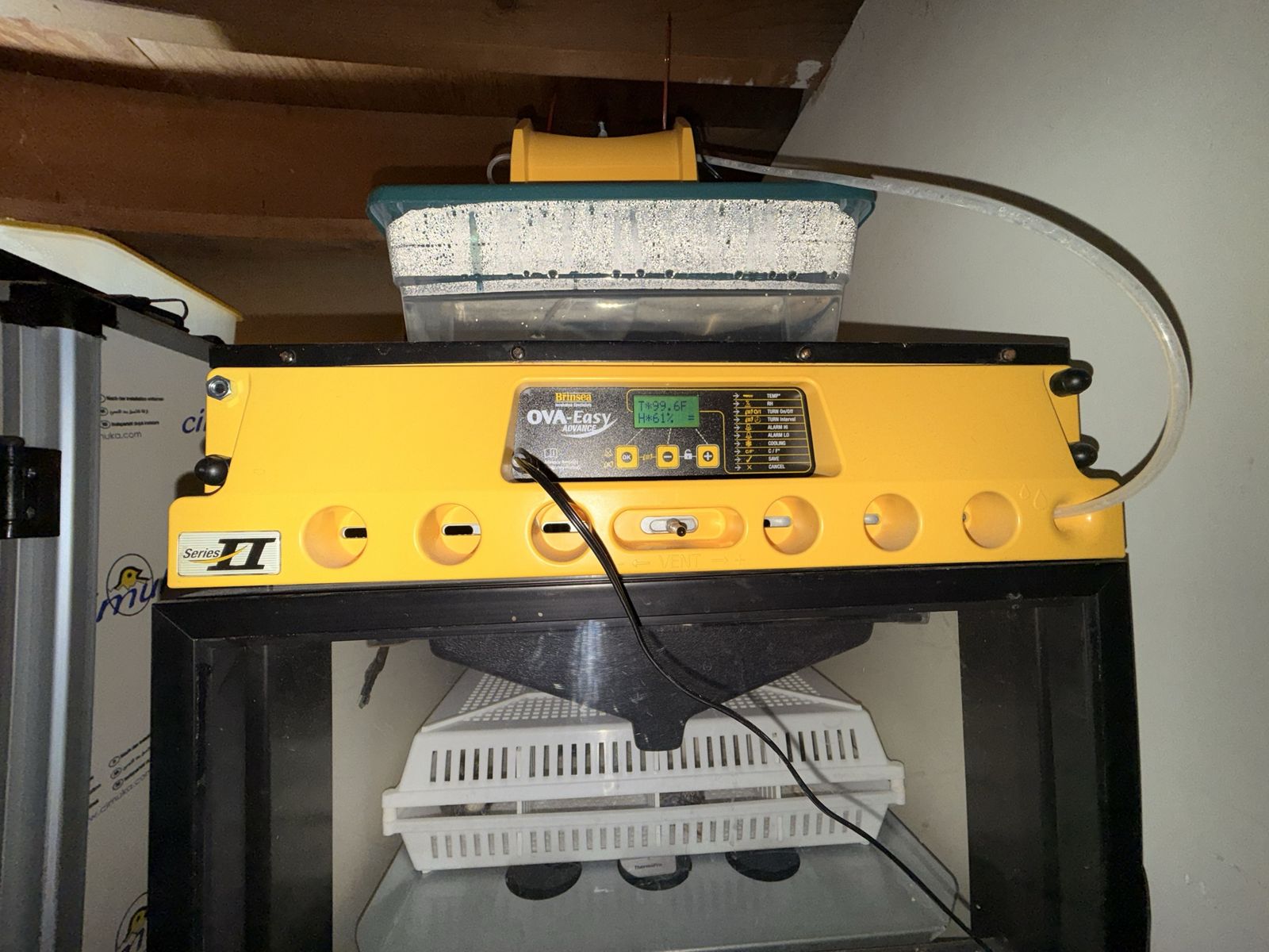 Main image 3