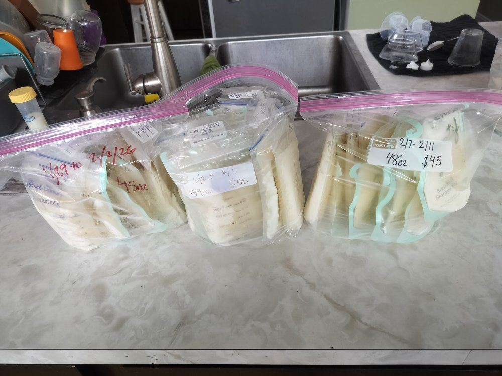 breast milk (1/29-2/11)