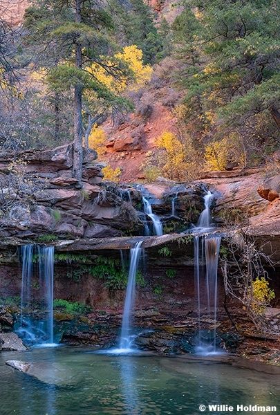 big creek/kolob creek water wanted 1 full share.