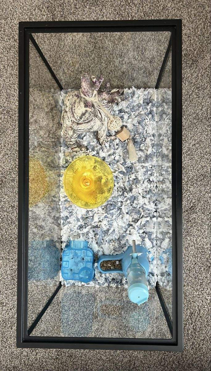 Main image 2