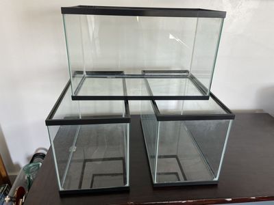 Fish Tanks
