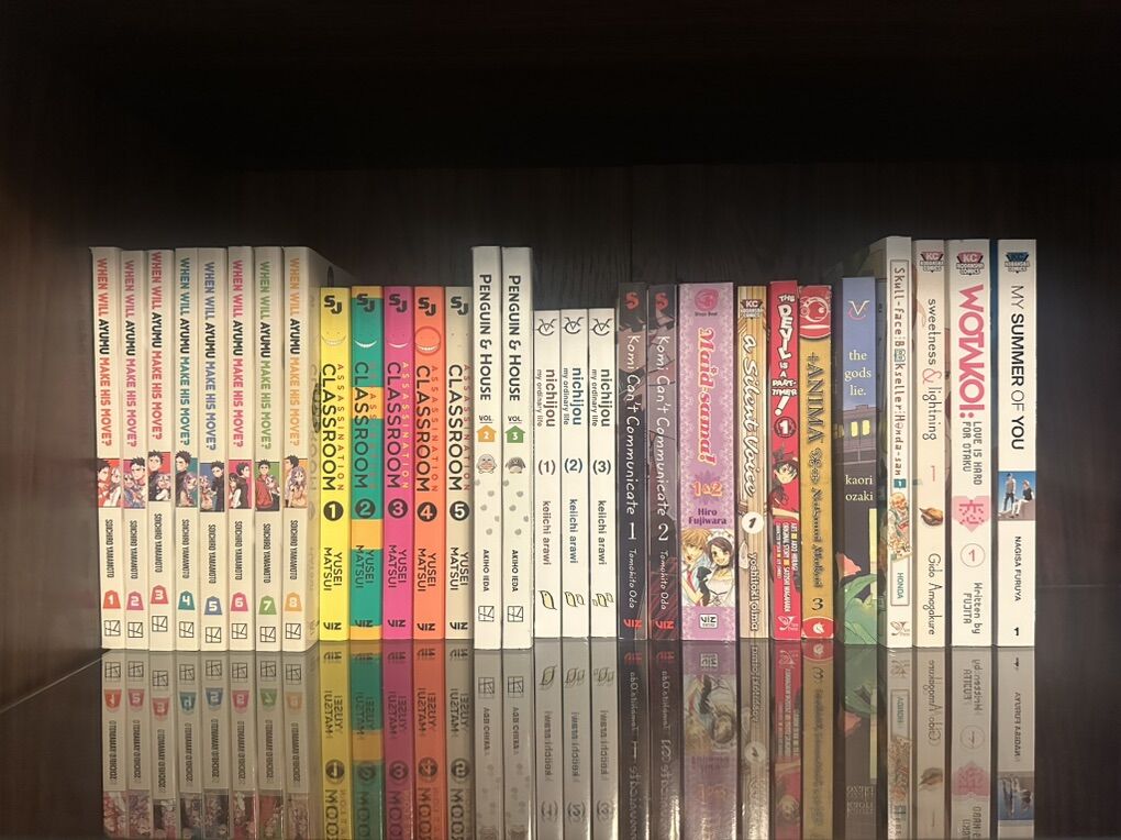 Manga Lot