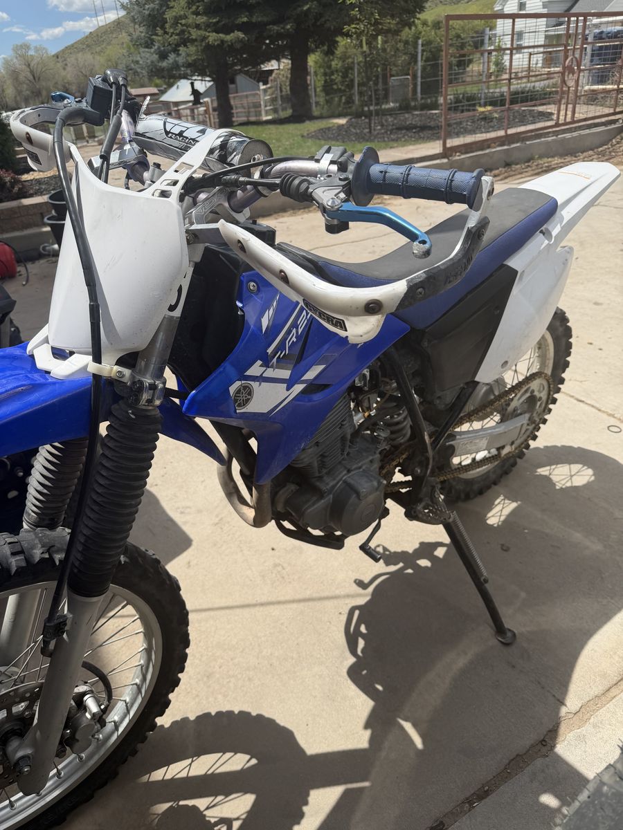 2013 ttr230