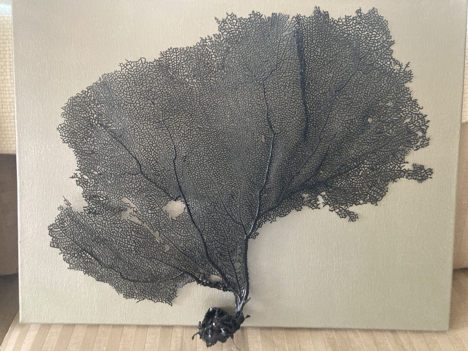 Main image 6