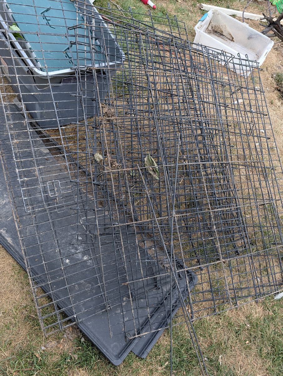 Metal dog kennel
