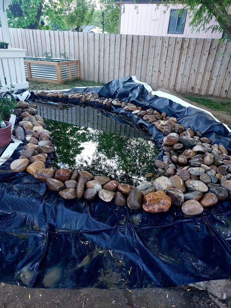 Main image 7