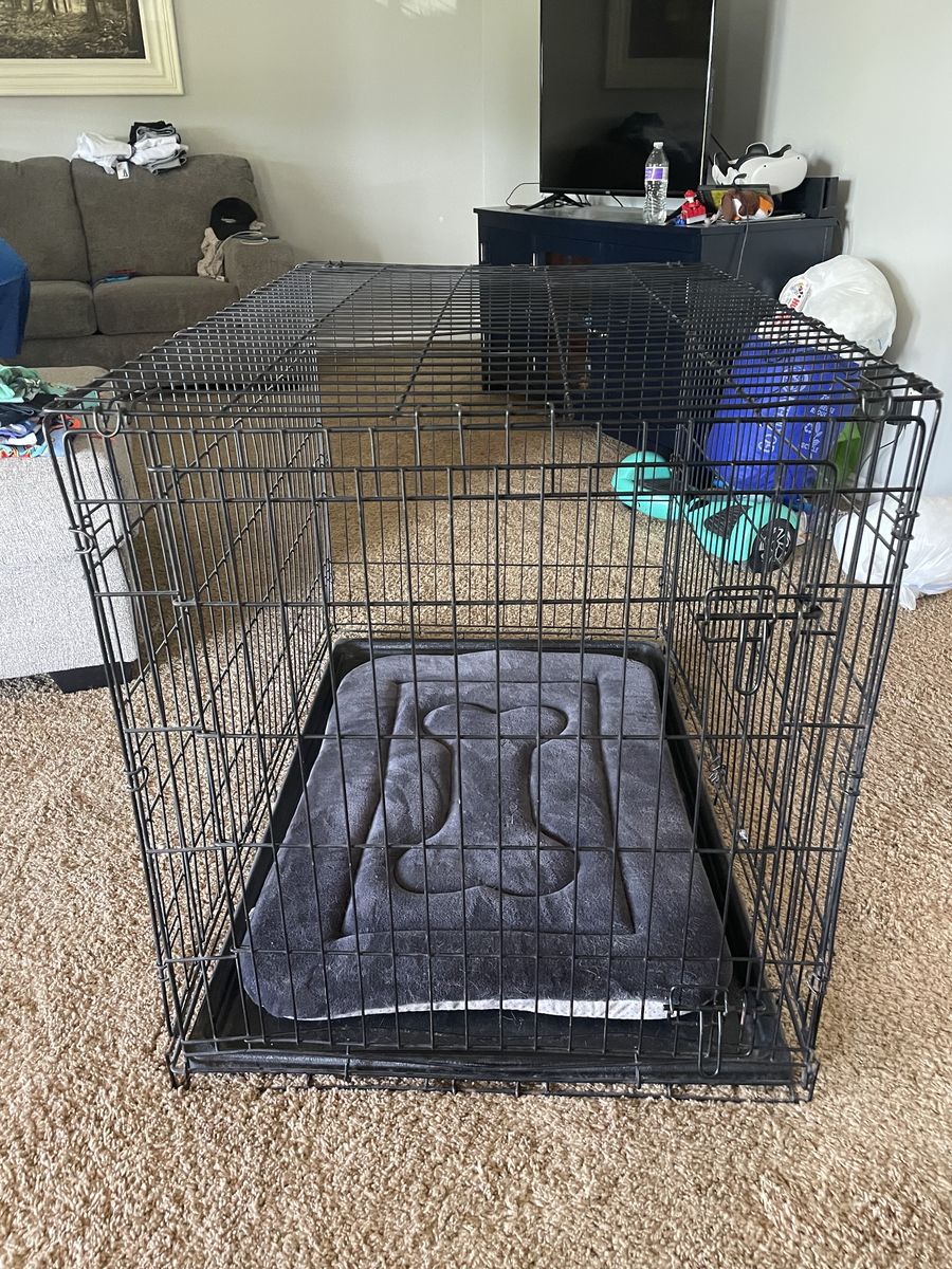 Large dog kennel