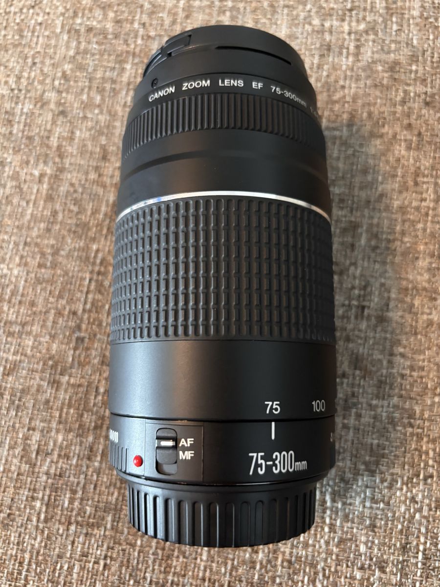 Canon Rf 75-300mm Lens In Anazing Condition