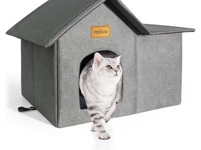 Outdoor Cat House