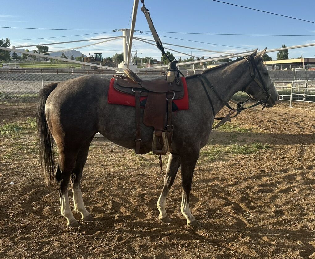 Attention Barrels Racers