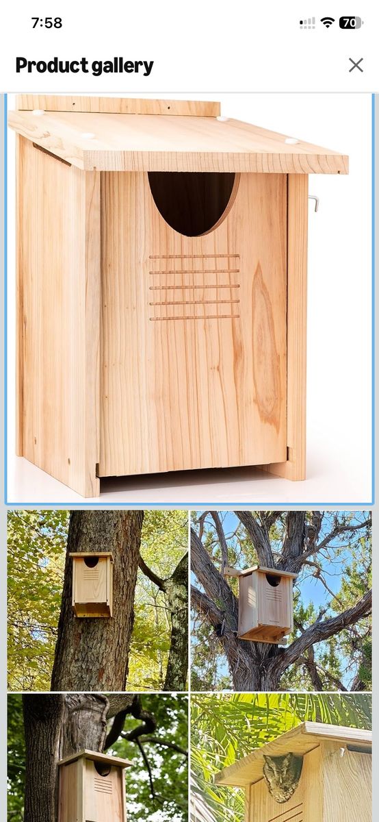 Owl House