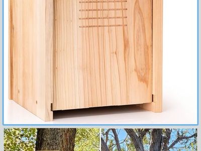 Owl House
