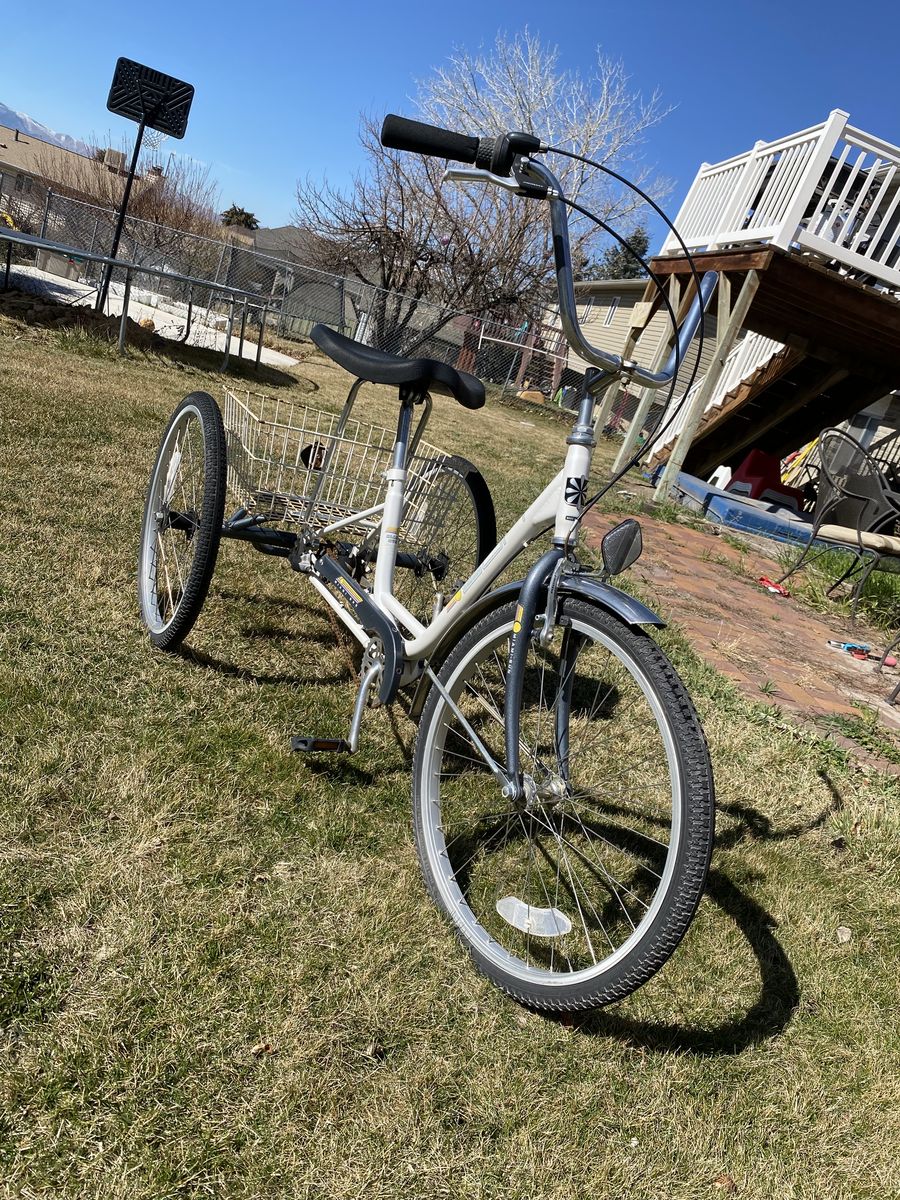 Adult Tricycle