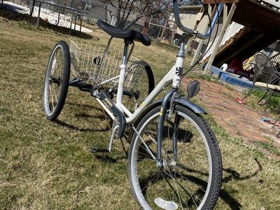 Adult Tricycle