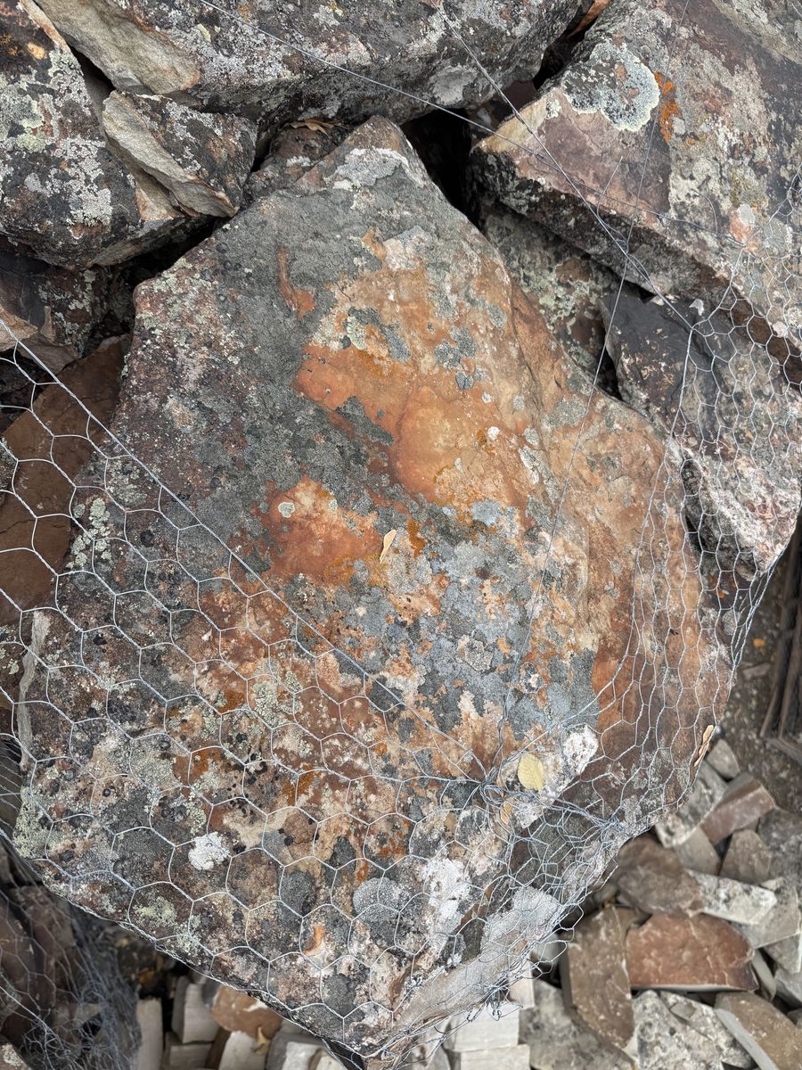 Main image 6