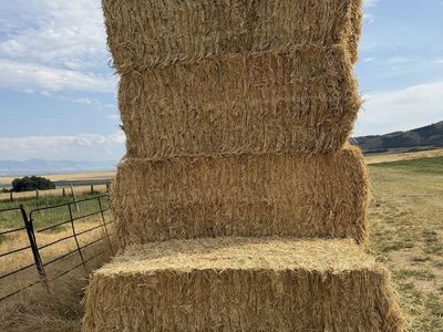 3x3x8 Square Straw Bales for Livestock & Bedding