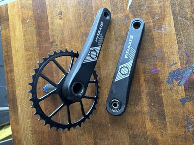 Praxis Cadet cranks and chainring