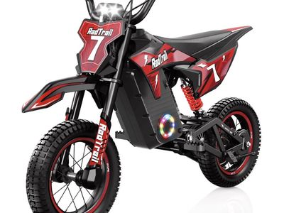 36V 12" Kids Electric Dirt Bike