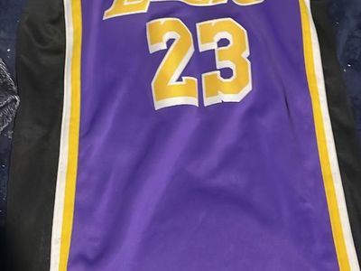 Nike Lakers LeBron James #23 Purple NBA Basketball Jersey Size 40