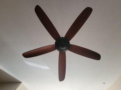 54 in ceiling fan