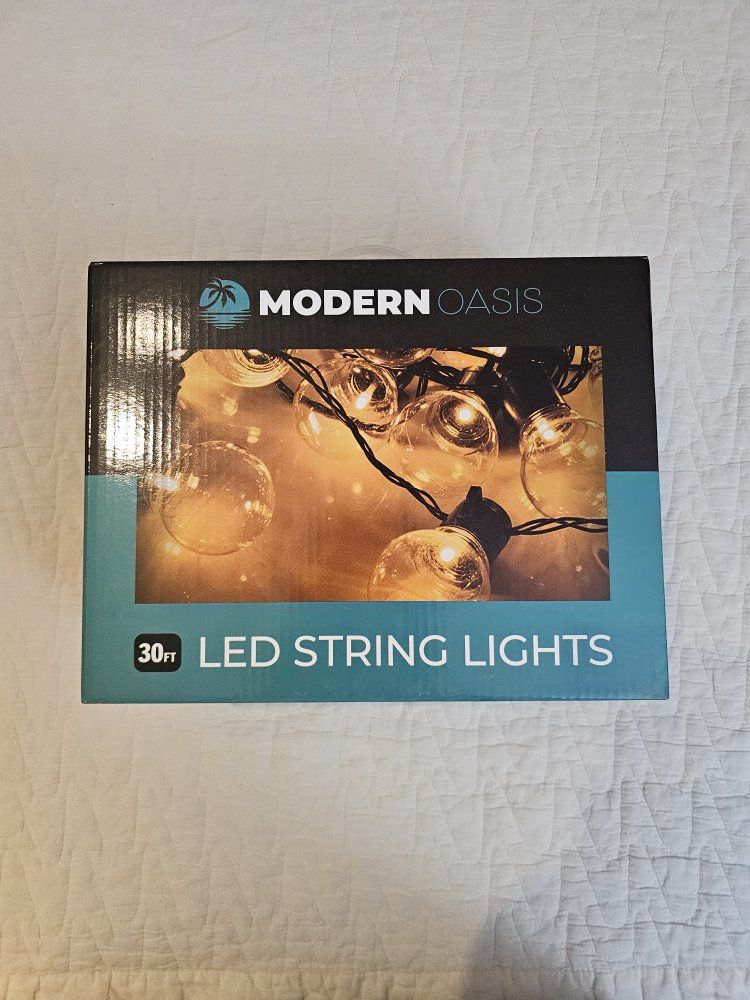 30 ft LED String Lights