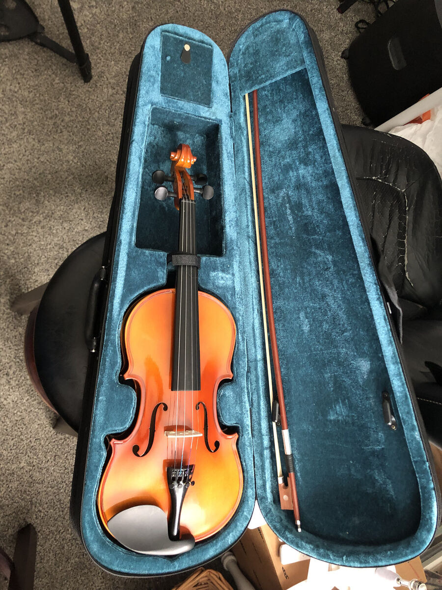 new beginner violin