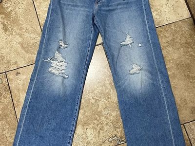 MOTHER Superior The Dodger Sneak Distressed Loose Wide Leg Jean Size 27