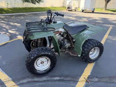 Yamaha Timberwolf 250 2x4