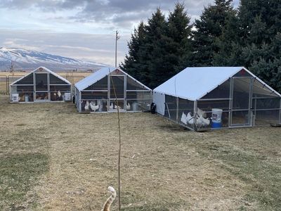 Complete Chicken & Poultry Equipment Liquidation – Incubators, Tractors, Nest Boxes & More!