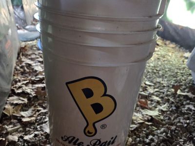 Used Homebrewing / Beer Making Equipment Lot — Bottles, Fermenters, Ale Pail, Wort Chiller