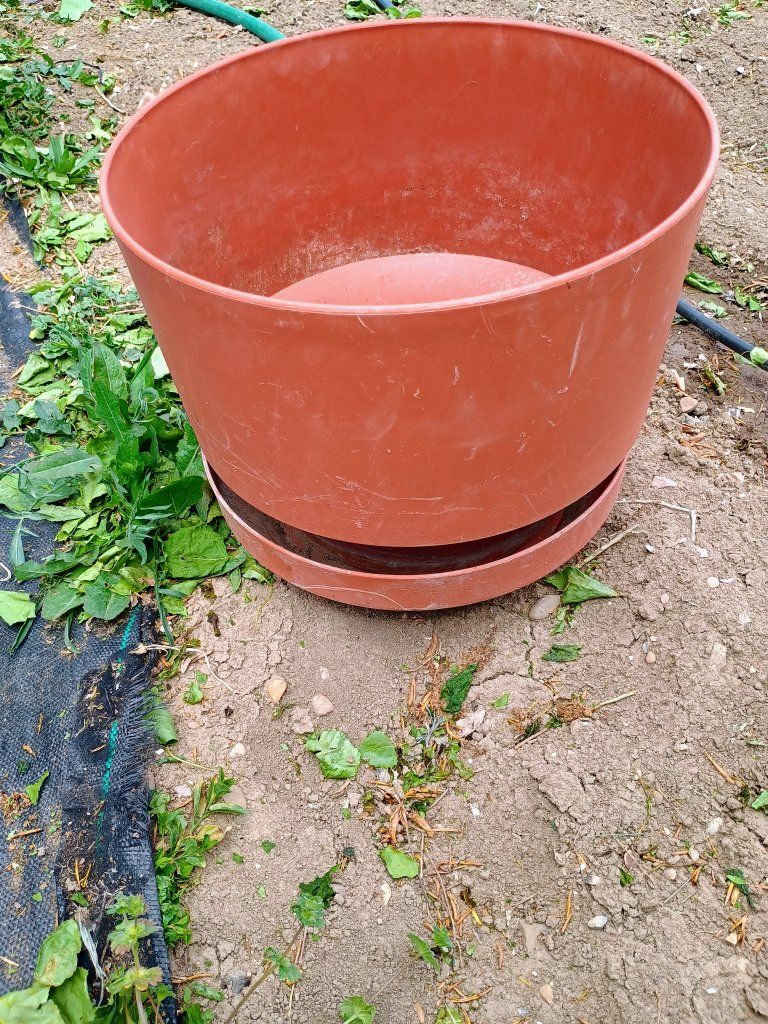 Plastic plant pot w/ saucer.  14 1/2" x 12 ". oran