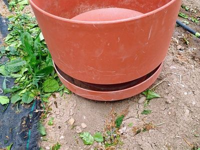 Plastic plant pot w/ saucer. 14 1/2" x 12 ". oran