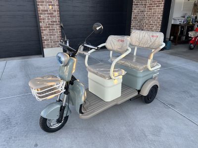 Electric Mini Golf Cart / Scooter