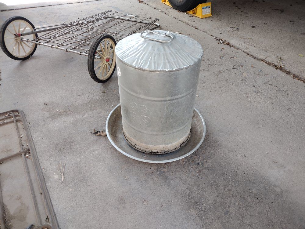 Chicken and Bird feeder