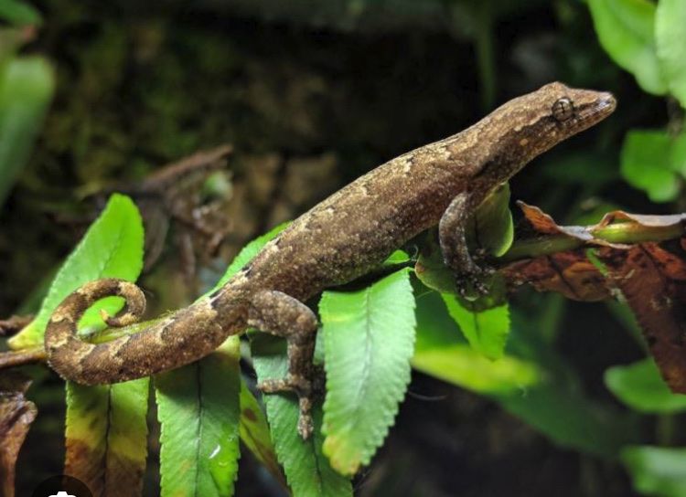 Main image 9