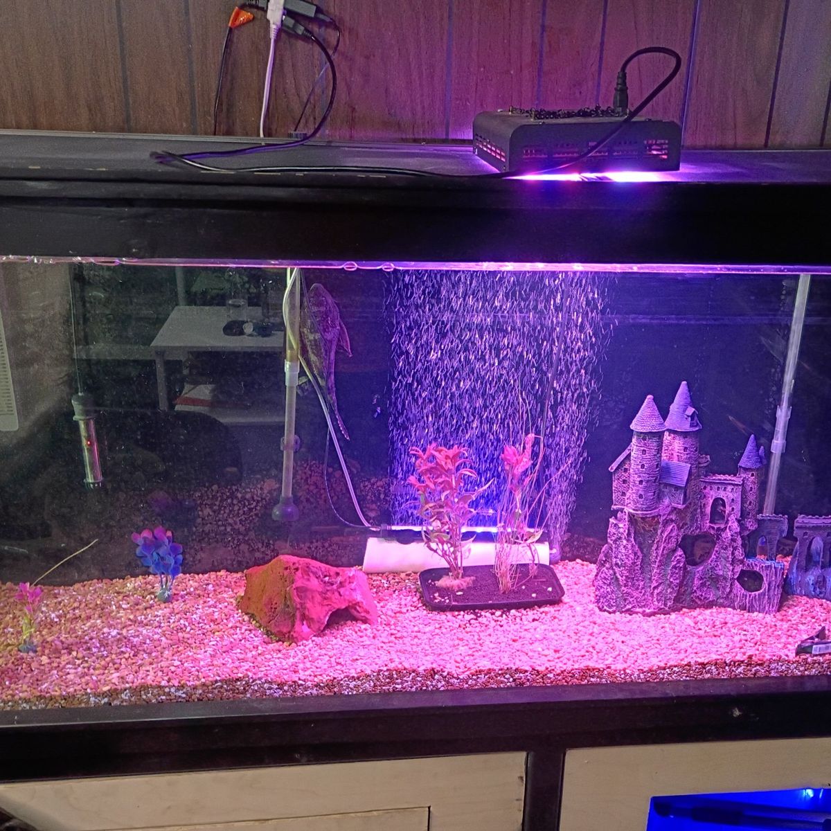 150 gallon tank