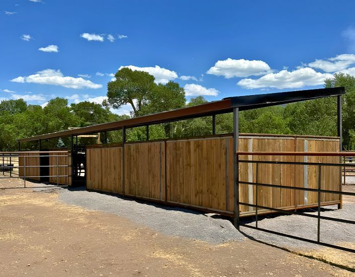 Main image 5