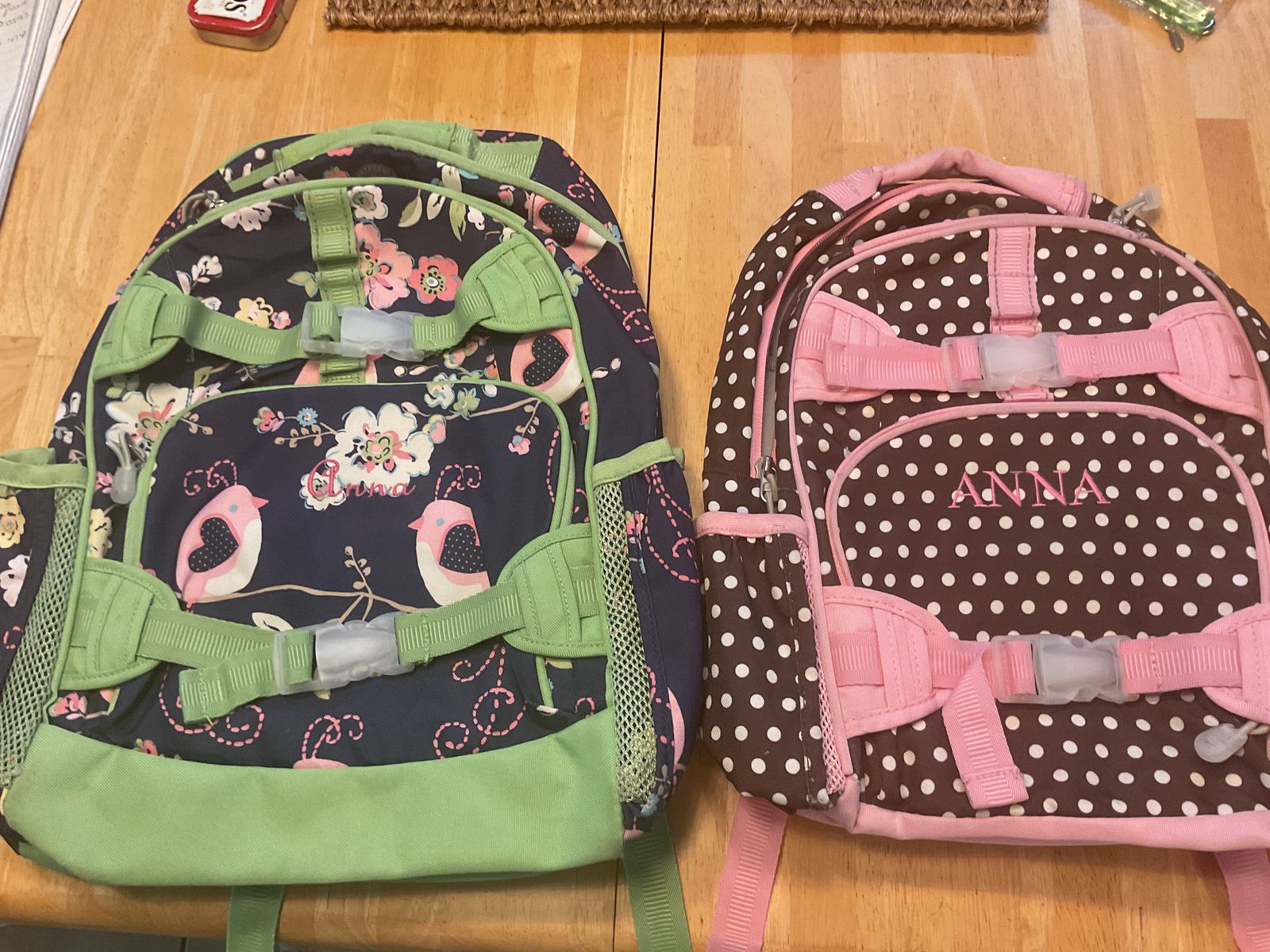 2 Pottery Barn Kids Back Packs “Anna”