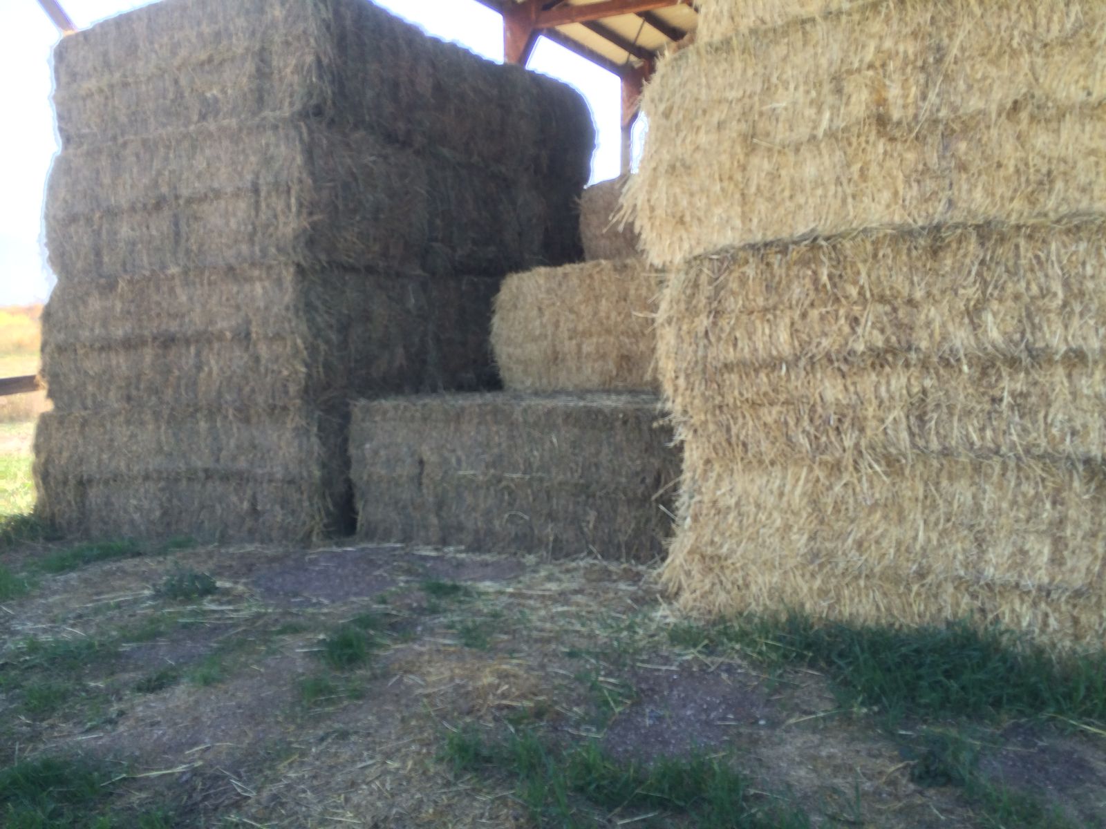 Barn Stored Hay for Sale