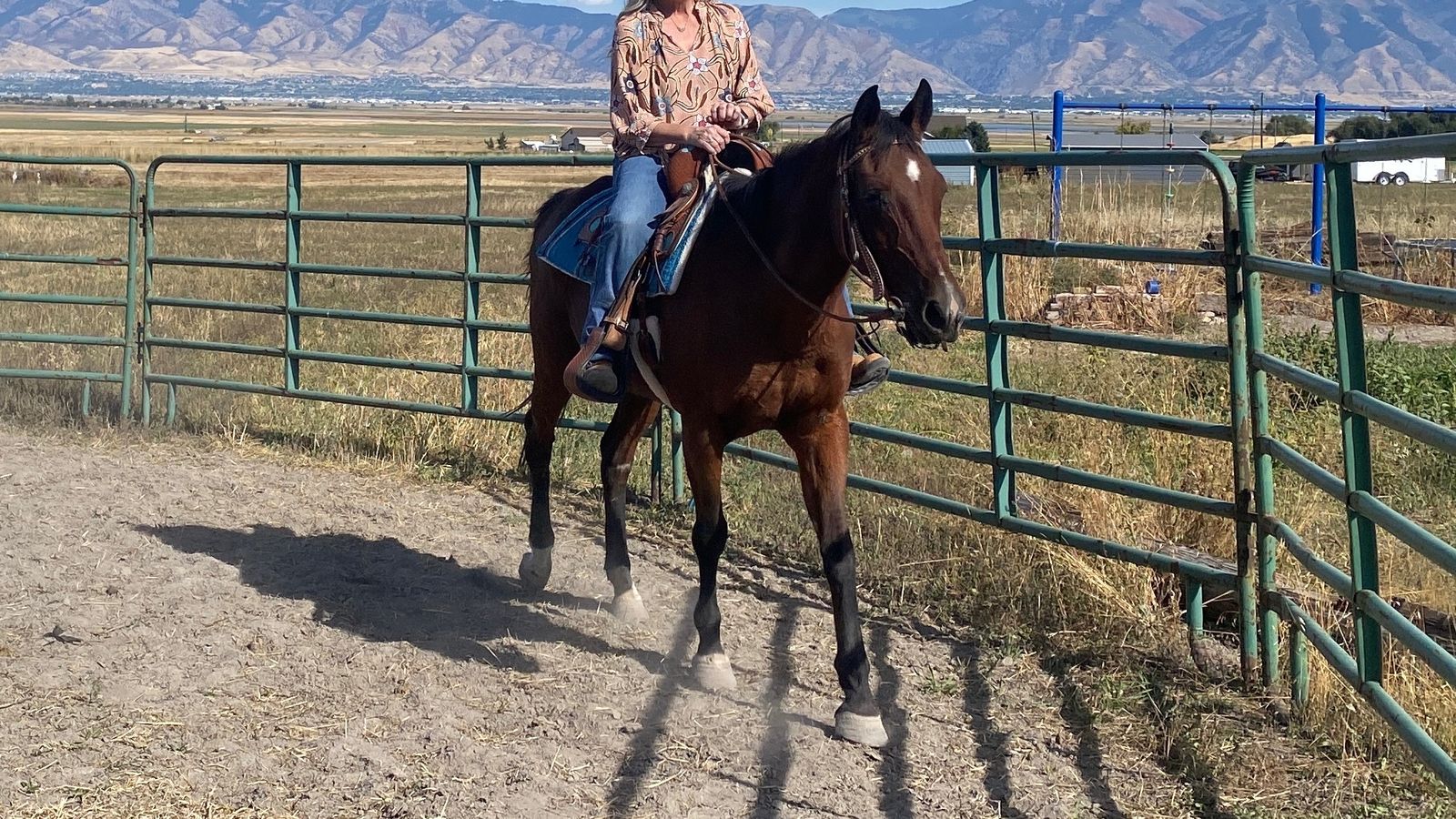 Sweet Grade Beginner Lesson Mare