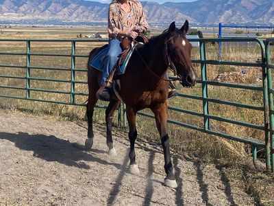 Sweet Grade Beginner Lesson Mare