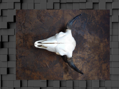 Bison Skull - Premium Plush Blanket