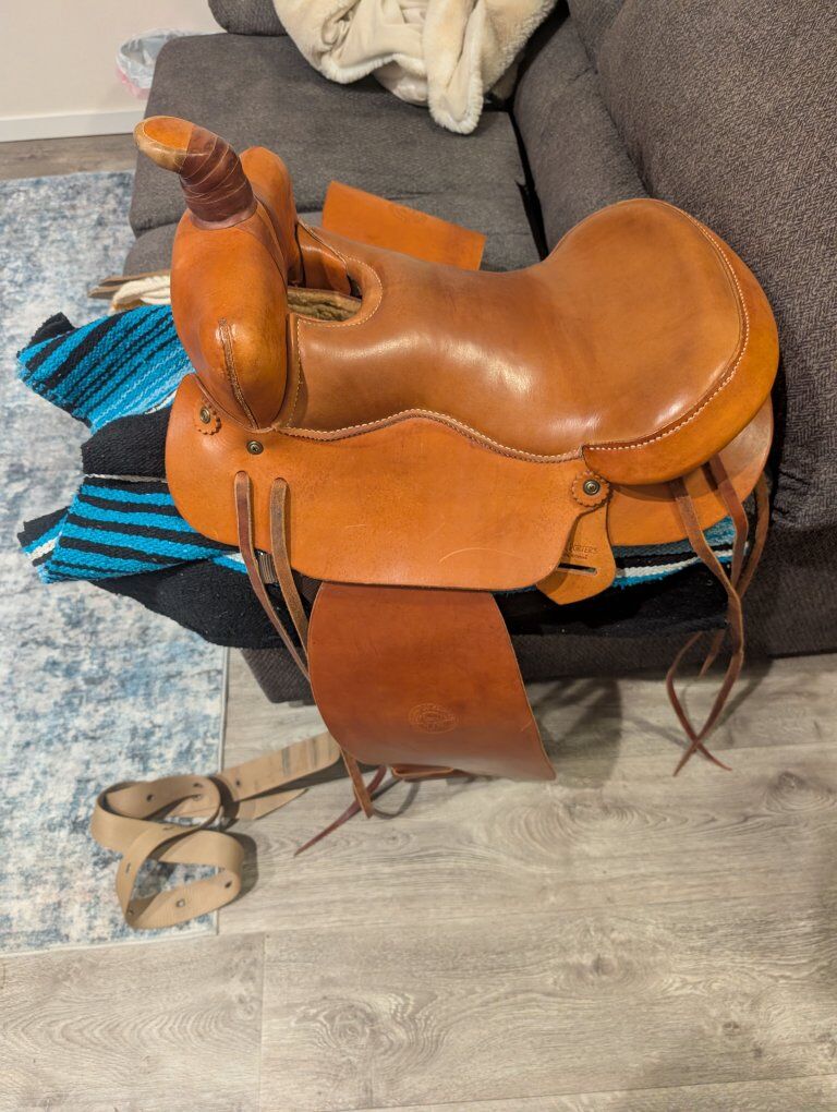 15" William N Porter saddle
