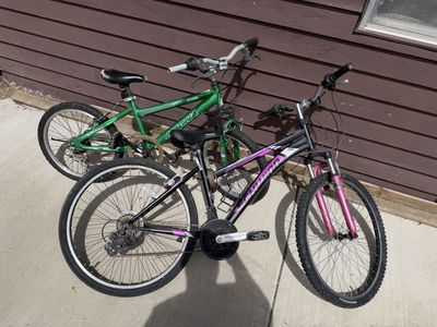 Schwinn bike, low step over