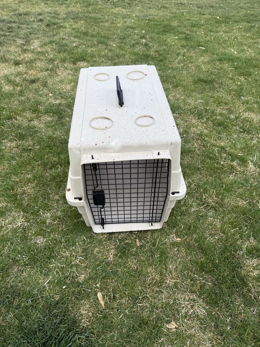 Cream Dog Kennel Portable Medium Sized