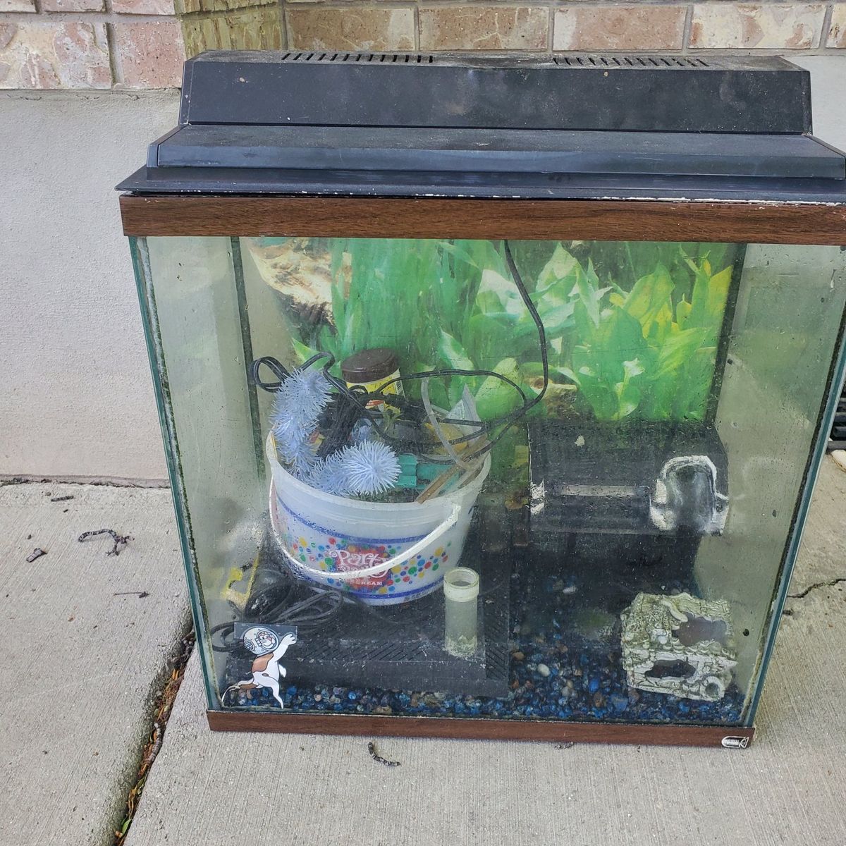 Fish tank