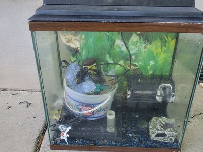 Fish tank