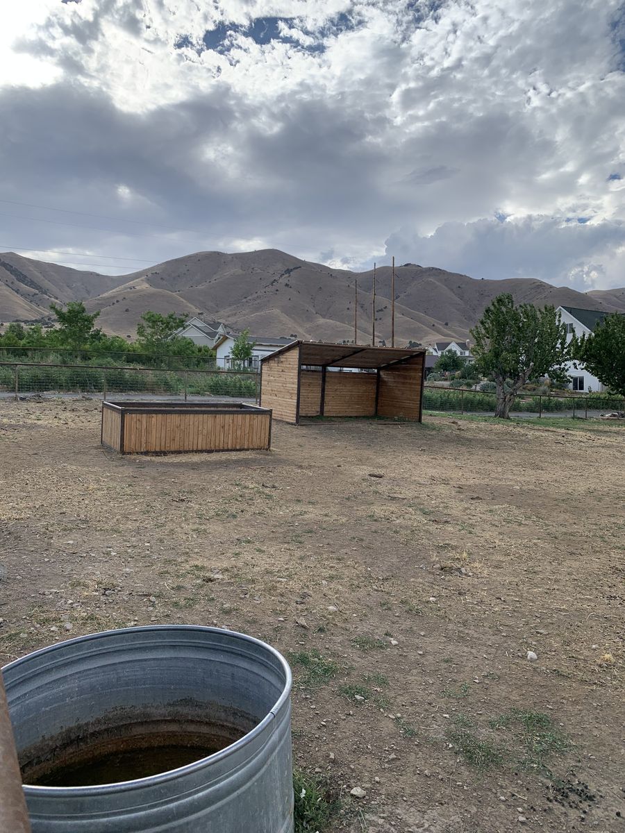 Horse Boarding South Utah County